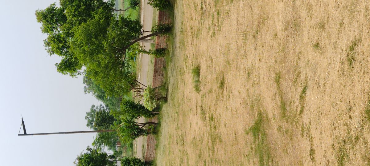 Plot For Sale in Altus Prime