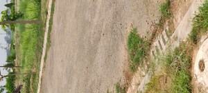 Plot Area in  Plot at Altus Prime, North Mullanpur – for Sale