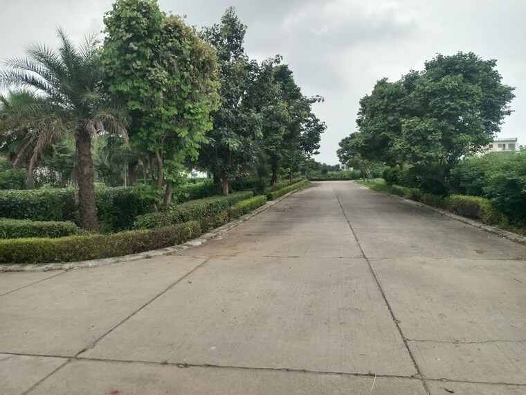 Exterior View, new chandigarh  500 Sq.Yd. Plot In New Chandigarh Chandigarh 10050555
