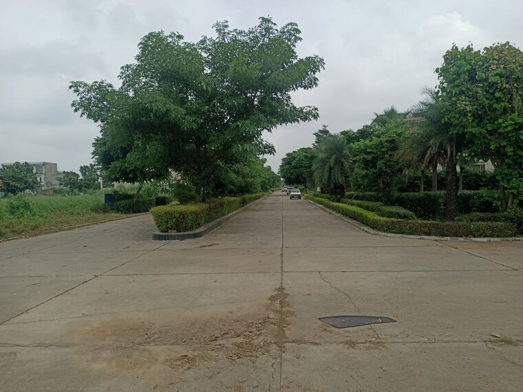 undefined, new chandigarh  500 Sq.Yd. Plot In New Chandigarh Chandigarh 10050555