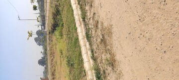 Plot Area in  Plot at Altus Prime, North Mullanpur – for Sale