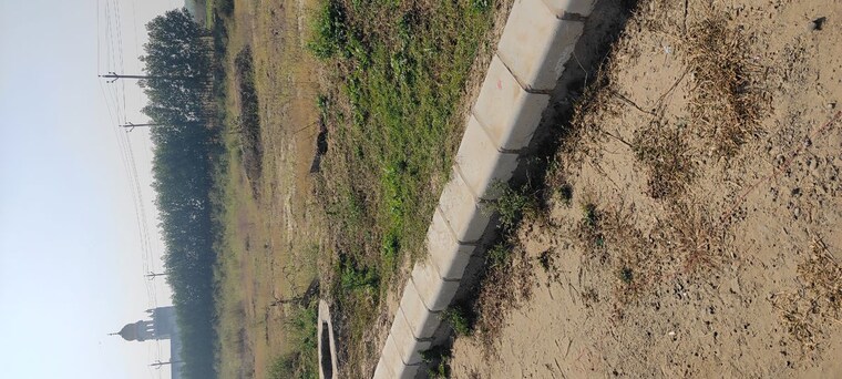 undefined, altus-prime  100 Sq.Yd. Plot In North Mullanpur Chandigarh 10050583