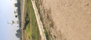 Plot Area in  Plot at Altus Prime, North Mullanpur – for Sale