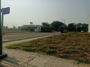 Plot Area in  Plot at Mullanpur – for Sale