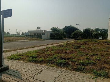 Plot Area in  Plot at Mullanpur – for Sale