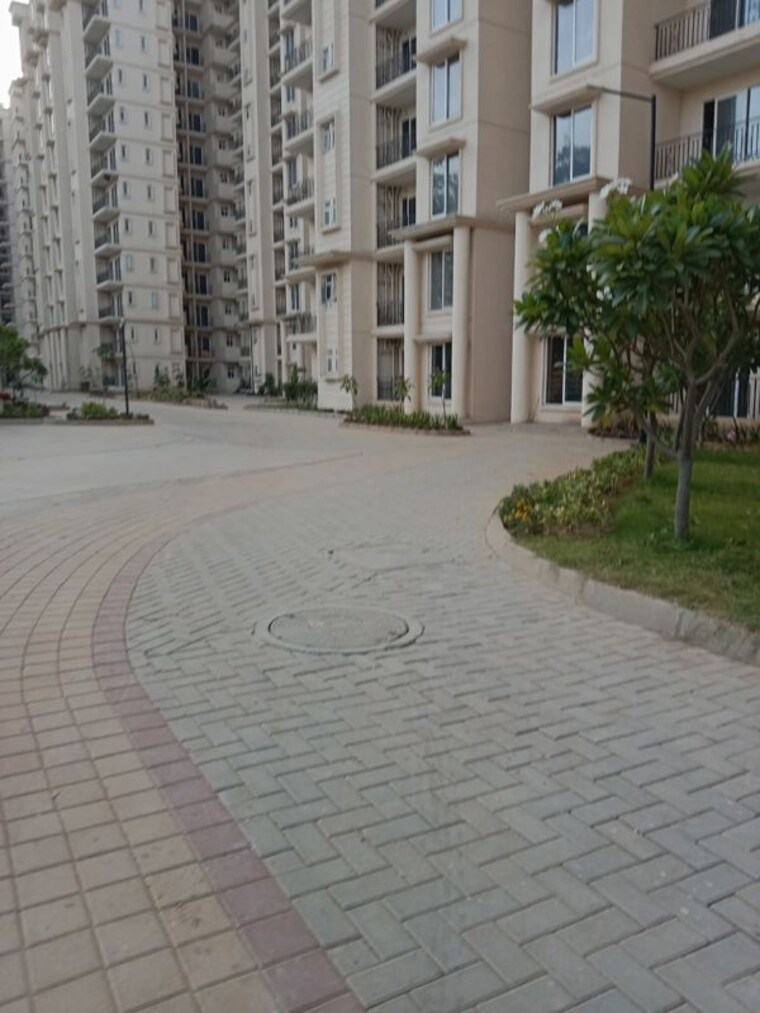  Parking, signature-the-serenas 2 Bedroom 1000 Sq.Ft. Apartment In Sohna Sector 36 Gurgaon 10050821