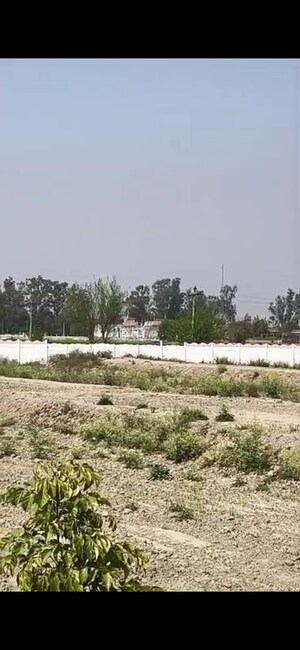 Plot Area in  Plot at Dankaur Inner Township, Dankaur – for Sale