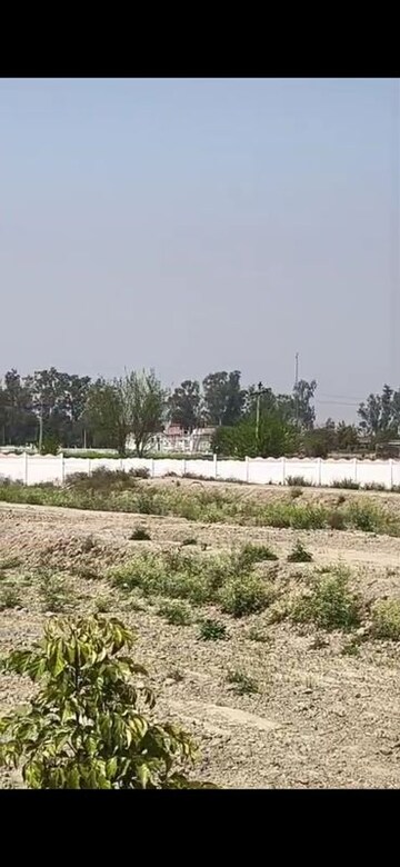 Plot Area in  Plot at Dankaur Inner Township, Dankaur – for Sale