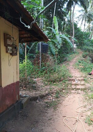  Plot For Sale in Bajal