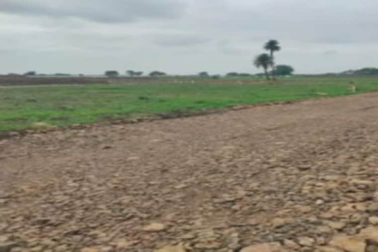 undefined, bada bangarda  1015 Sq.Ft. Plot In Bada Bangarda Indore 10051499