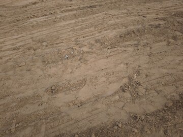 Plot Area in  Plot at Ajmer Road – for Sale