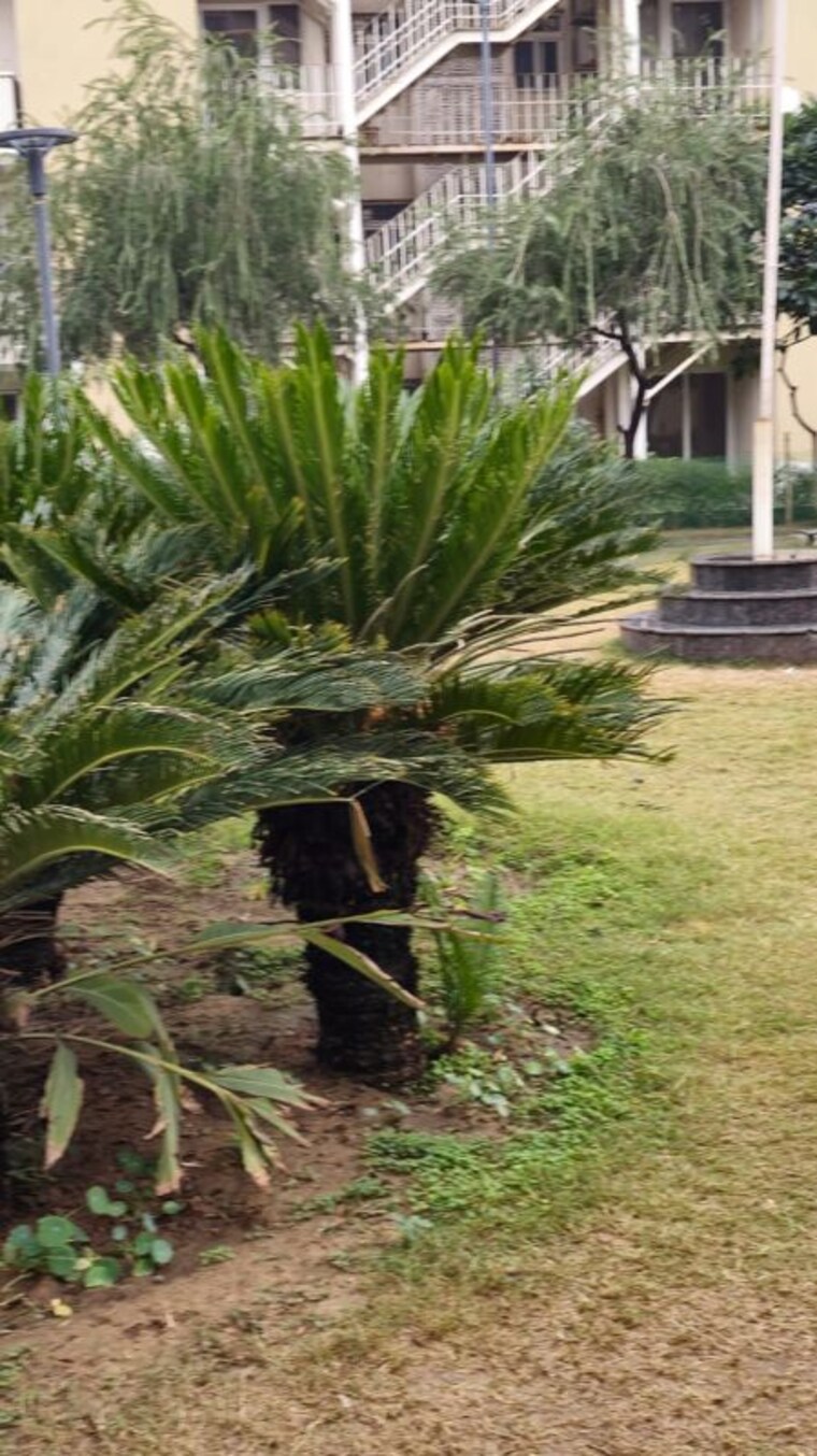 Garden, smart-world-orchard 3 Bedroom 1716 Sq.Ft. Apartment In Sector 61 Gurgaon 10051521