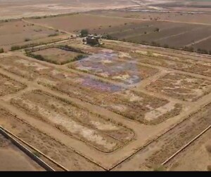  Plot For Sale in Dholera