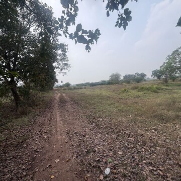 Plot Area in  Plot at Poranki – for Sale
