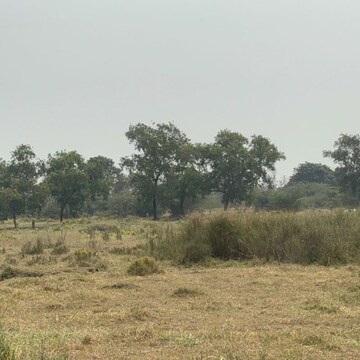 Plot Area in  Plot at Poranki – for Sale