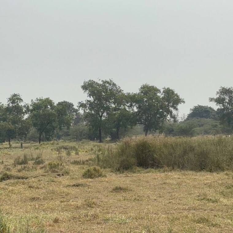 undefined, poranki  251 Sq.Yd. Plot In Poranki Vijayawada 10051684