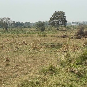 Plot Area in  Plot at Poranki – for Sale