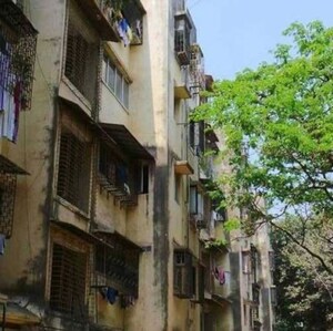 1 BHK Apartment For Rent in Andheri West