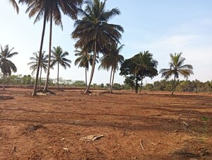 Plot Area in 2 BHK Builder Floor at Kasarvadavali – for Rent