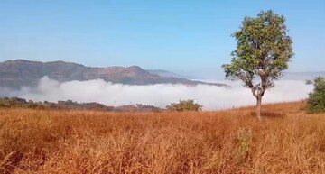 Plot Area in  Plot at Panshet – for Sale