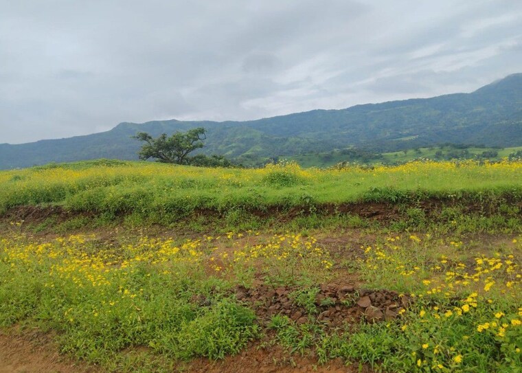 undefined, panshet  11840 Sq.Ft. Plot In Panshet Pune 10052109