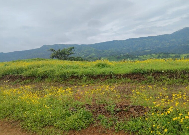 undefined, panshet  11840 Sq.Ft. Plot In Panshet Pune 10052109