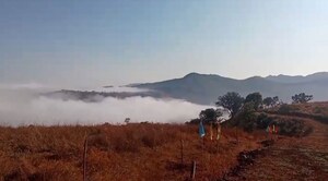 Plot Area in  Plot at Panshet – for Sale