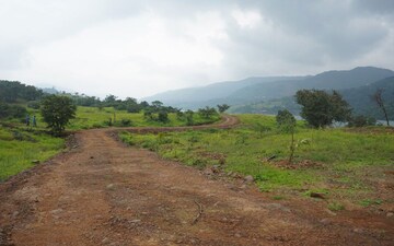  Plot For Sale in Panshet