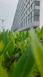 1350 Sq.Ft. Showroom in Aerocity