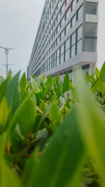  Showroom For Sale in Aerocity