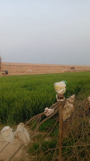  Plot For Sale in Tarc Kailasa, Kirti Nagar