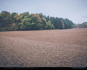  Plot For Sale in Tarc Kailasa, Kirti Nagar