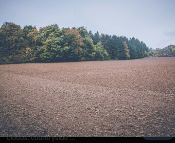  Plot For Sale in Tarc Kailasa, Kirti Nagar