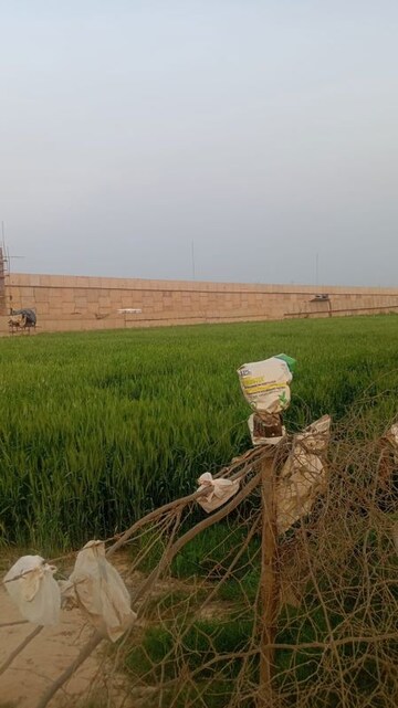  Plot For Sale in Tarc Kailasa, Kirti Nagar