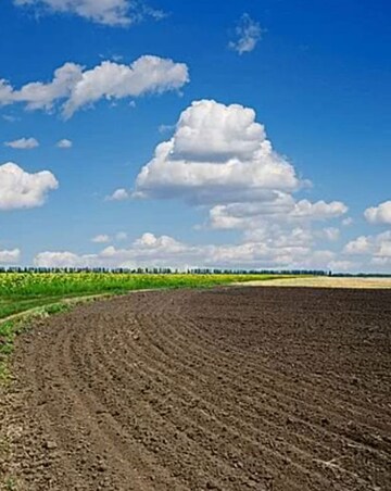  Plot For Sale in Tarc Kailasa, Kirti Nagar