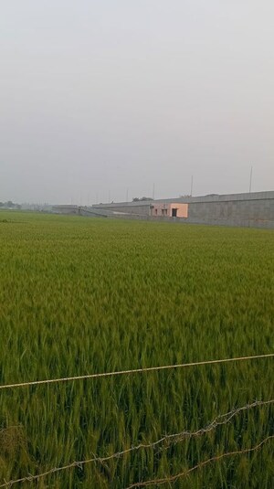  Plot For Sale in Delhi Heights, Gazipur