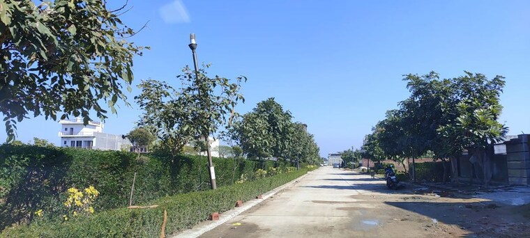 undefined, mullanpur  500 Sq.Yd. Plot In Mullanpur Chandigarh 10052993