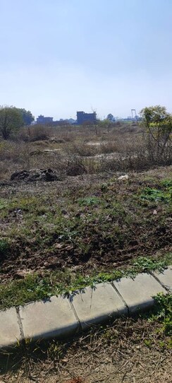 Plot For Sale in Mullanpur