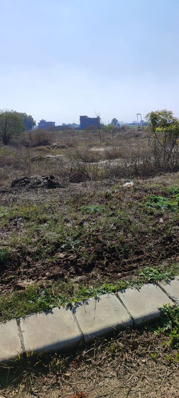 Plot For Sale in Mullanpur