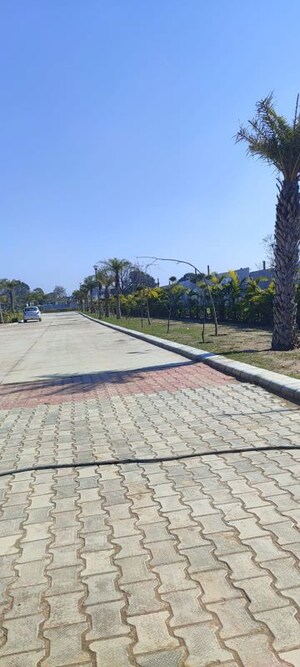 Plot – Exterior View View at Omaxe New Chandigarh, North Mullanpur - for Sale