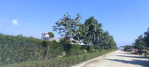 Plot Area in  Plot at Omaxe New Chandigarh, North Mullanpur – for Sale