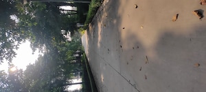  Plot – Exterior View View at Mullanpur - for Sale