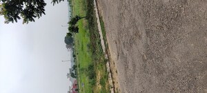  Plot For Sale in Mullanpur