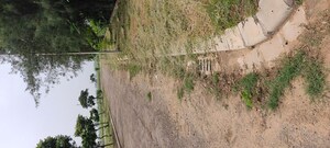 Plot Area in  Plot at Mullanpur – for Sale