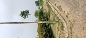  Plot – Exterior View View at Mullanpur - for Sale