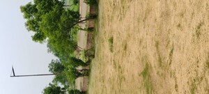  Plot – Exterior View View at Mullanpur - for Sale