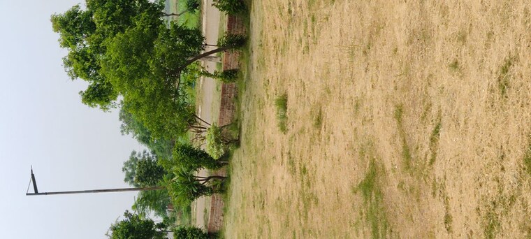 Exterior View, mullanpur  238 Sq.Yd. Plot In Mullanpur Chandigarh 10053504