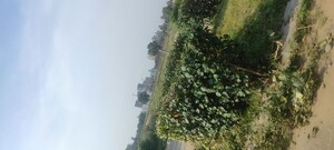  Plot – Exterior View View at Mullanpur - for Sale