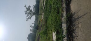  Plot – Garden View at Mullanpur - for Sale