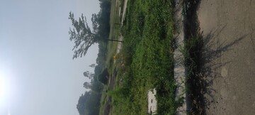  Plot – Garden View at Mullanpur - for Sale